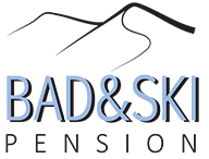 BadSki logo